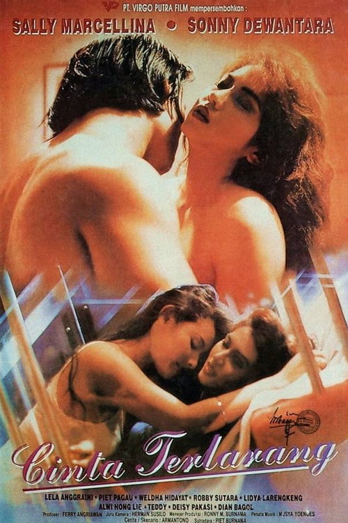 Movie poster for Forbidden Love (1995)