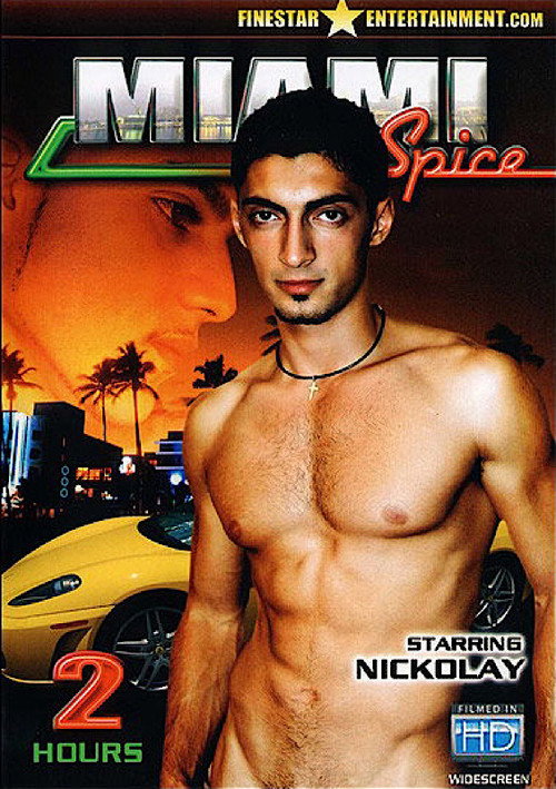 Movie poster for Miami Spice (2008)