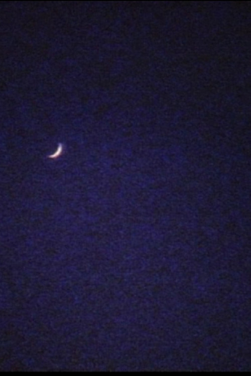 Movie poster for Crescent (1993)