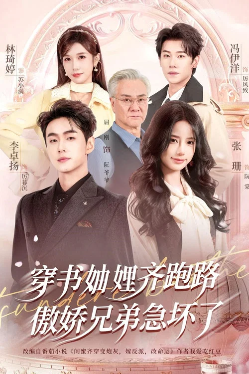 Series poster for 穿书妯娌齐跑路，傲娇兄弟急坏了 (2026)