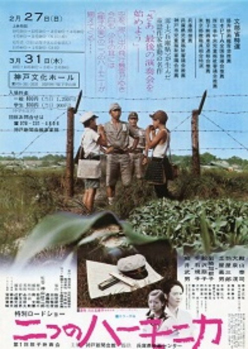 Movie poster for Two Harmonicas (1976)