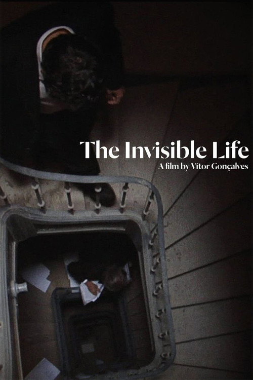 Movie poster for The Invisible Life (2013)