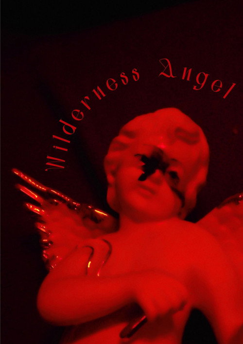 Movie poster for Wilderness Angel