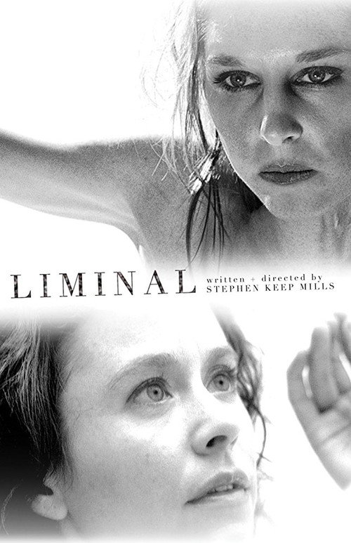 Movie poster for Liminal (2008)