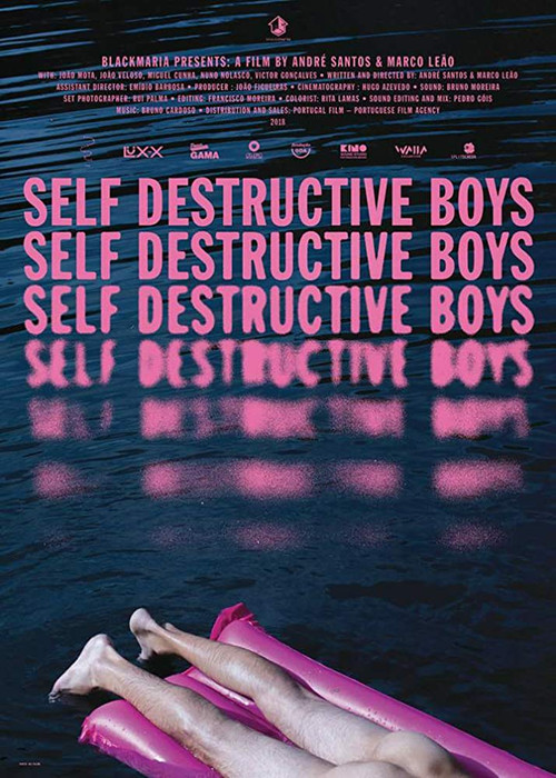 Movie poster for Self Destructive Boys (2018)
