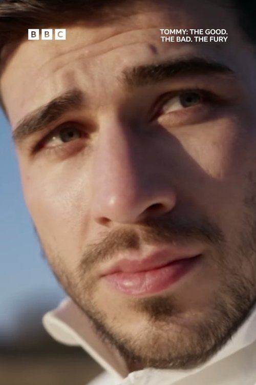 Tommy: The Good. The Bad. The Fury. poster