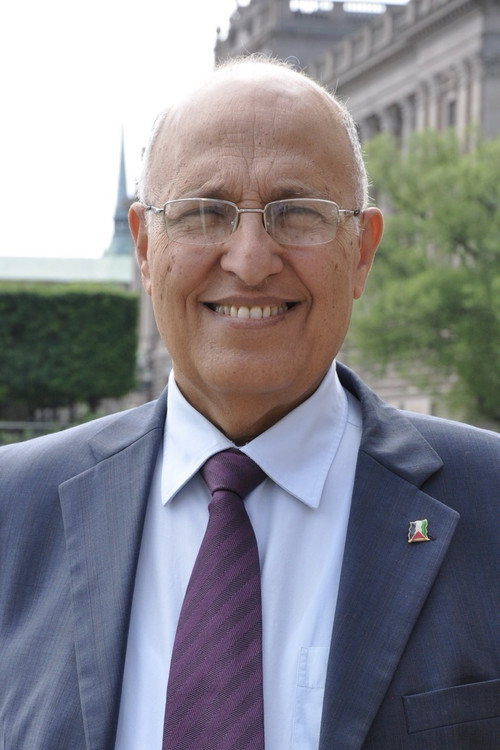 Photo of Nabil Shaath, Acting