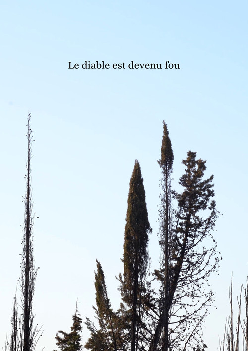 Movie poster for Le diable est devenu fou (2026)