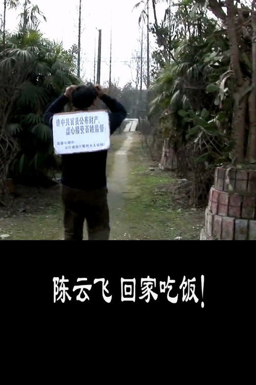 Movie poster for GO HOME, CHEN YUNFEI (2010)