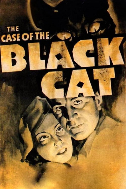 Movie poster for The Case of the Black Cat (1936)