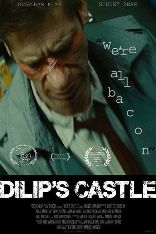 Movie poster for Dilip's Castle (2014)