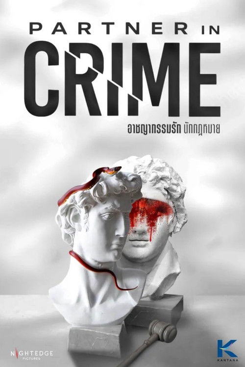 Partner in Crime poster
