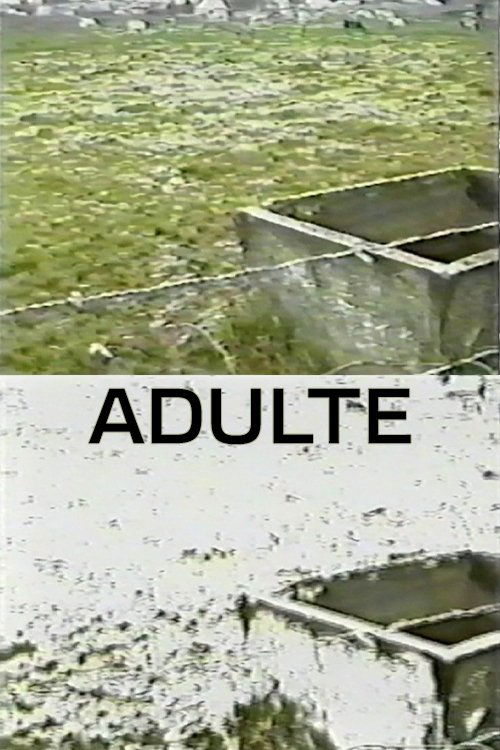 Movie poster for Adulte (1998)