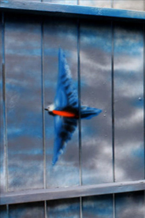 Movie poster for Spirit of the Bluebird (2011)