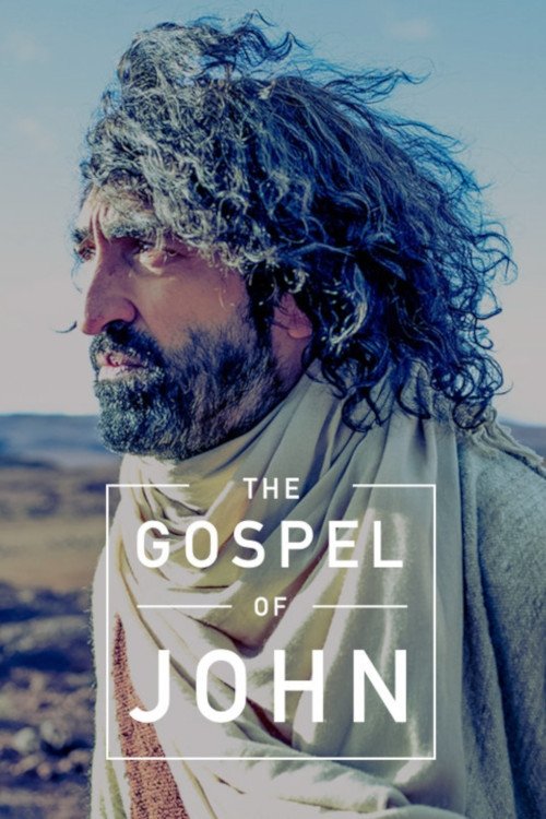 Movie poster for The Gospel of John (2014)