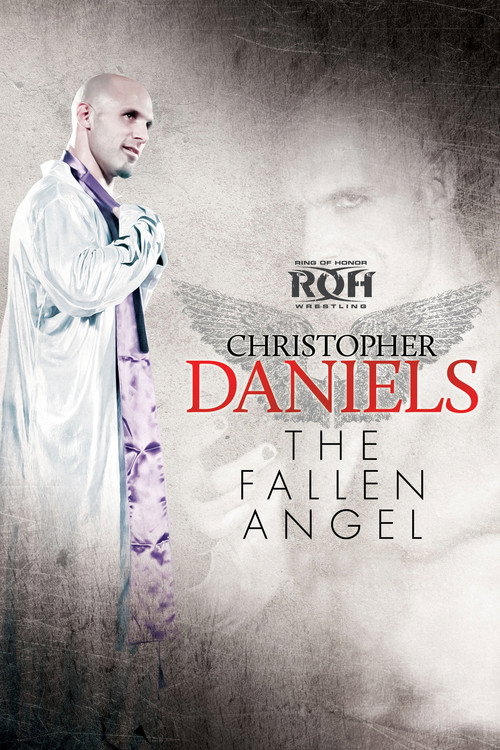 Movie poster for Christopher Daniels: The Fallen Angel (2013)