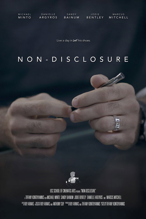 Movie poster for Non-Disclosure (2018)