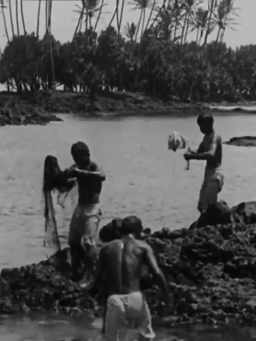 Movie poster for Kanaka Fishermen Casting the Throw Net, Hilo, H.I. (1906)