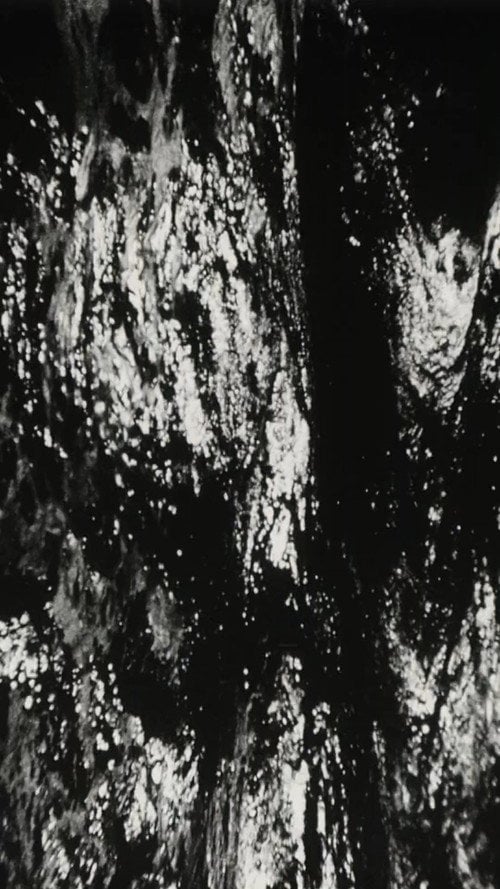 Movie poster for Bitemporal Vision: The Sea (1994)