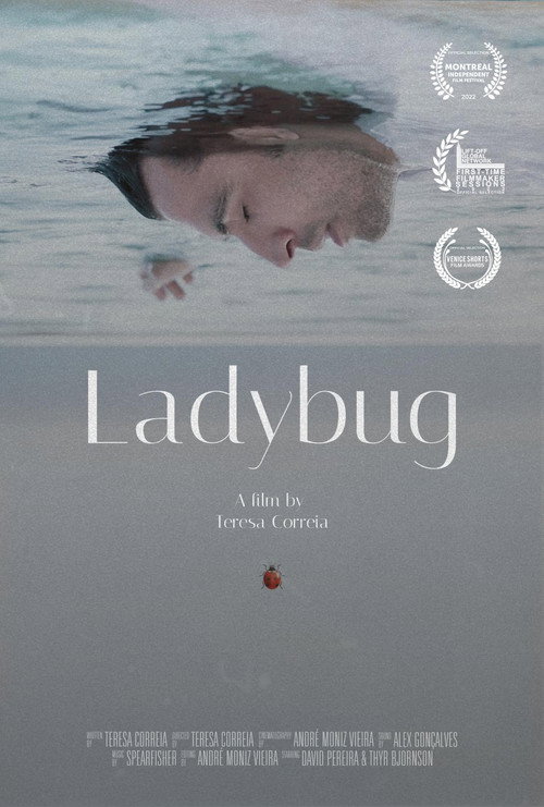 Movie poster for Ladybug (2022)