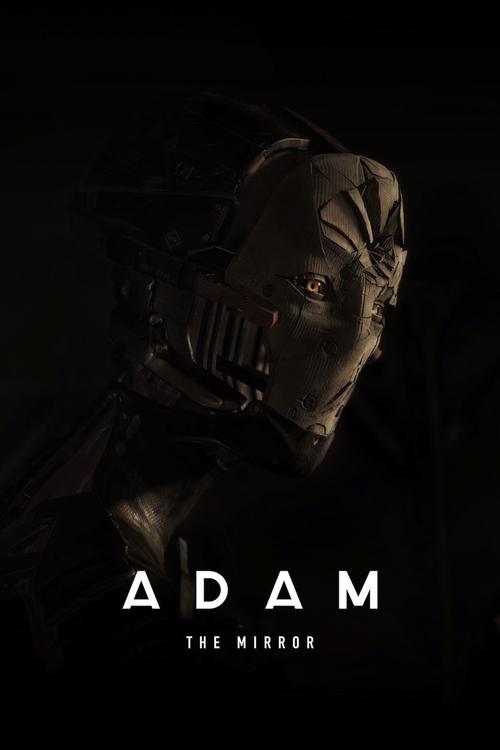 Movie poster for Adam: The Mirror (2017)