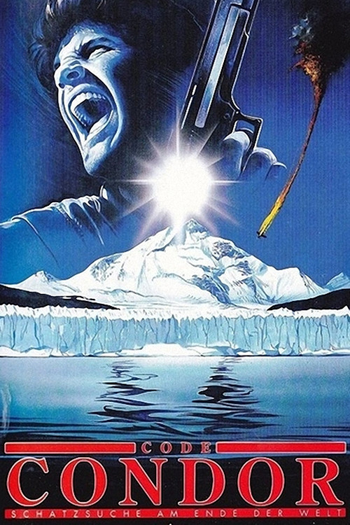 Movie poster for After the Condor (1991)