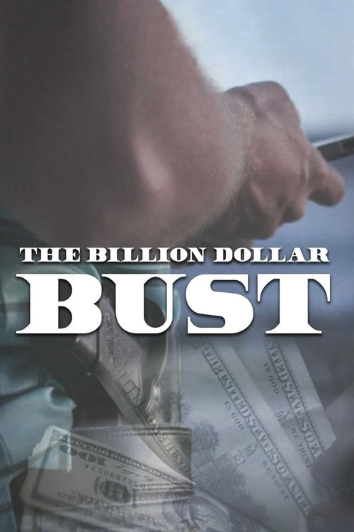 Movie poster for The Billion Dollar Bust (2018)