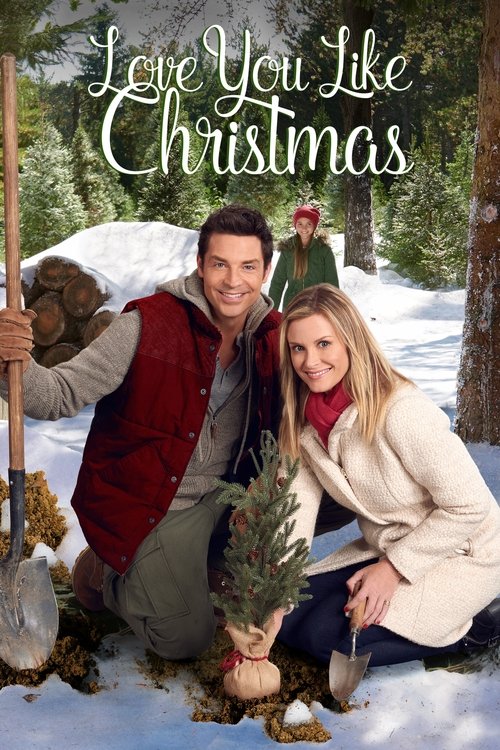 Movie poster for Love You Like Christmas (2016)