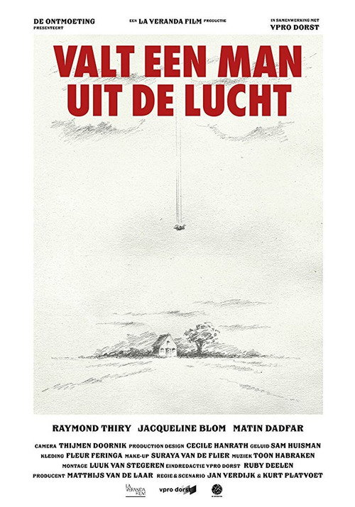 Movie poster for A Man Falls from the Sky (2017)