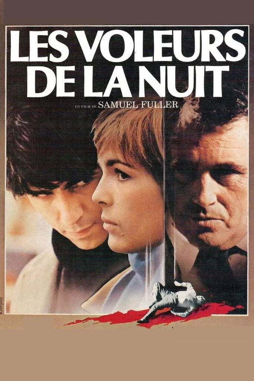 Movie poster for Thieves After Dark (1984)