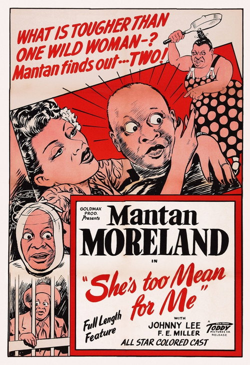 Movie poster for She's Too Mean for Me (1948)