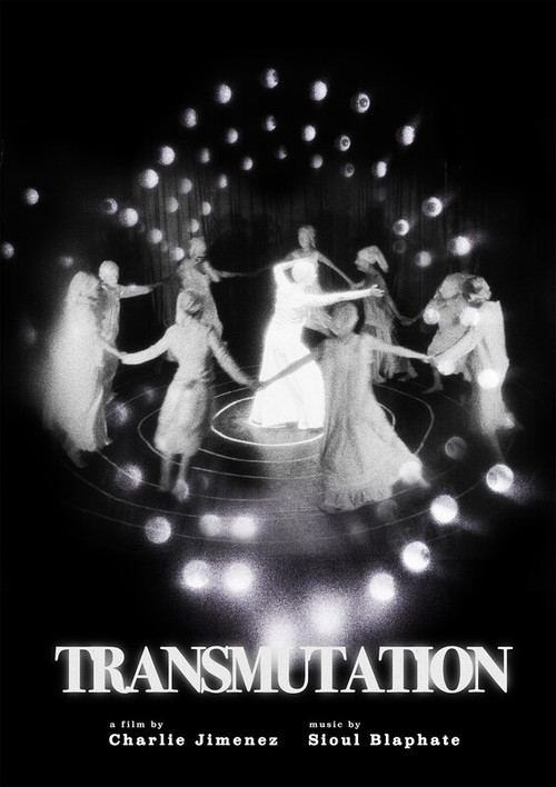 Movie poster for Transmutation (2026)