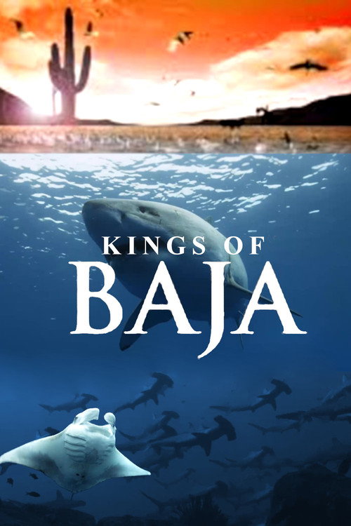Movie poster for Kings of Baja (2014)