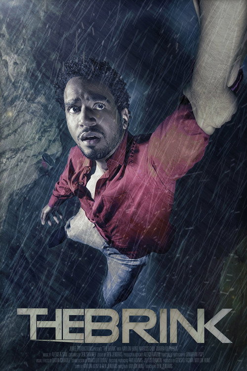 Movie poster for The Brink (2015)