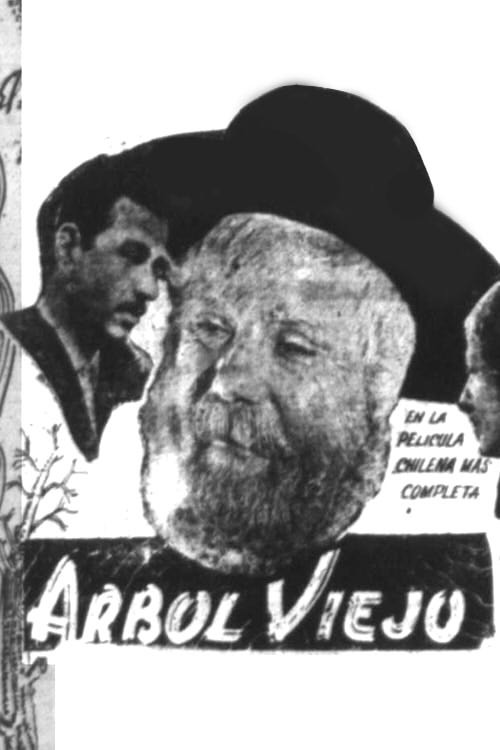 Movie poster for Old Tree (1943)