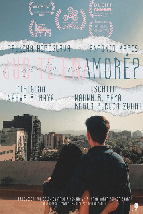 Movie poster for Did I Fall In Love With You? (2022)