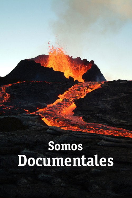Series poster for Somos Documentales (2010)