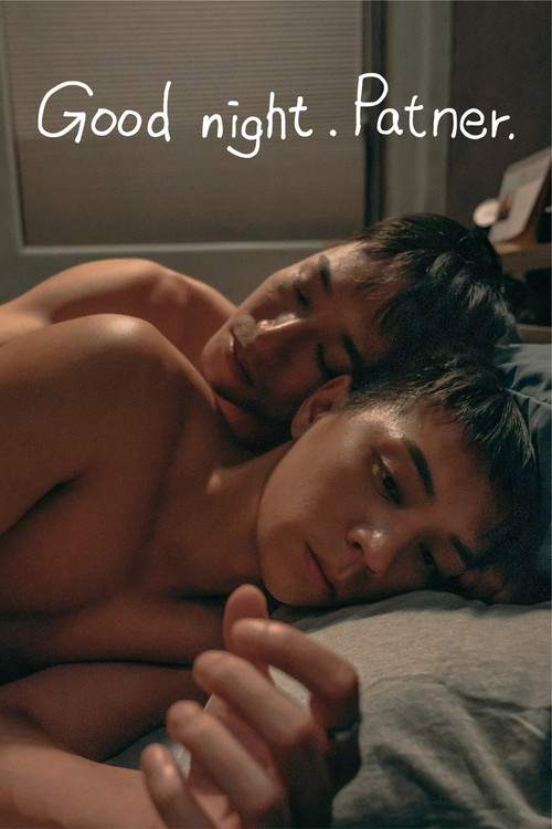 Movie poster for Good night. Partner. (2024)