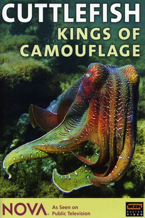 Movie poster for Cuttlefish: Kings of Camouflage (1997)