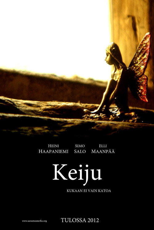 Movie poster for Fairy (2012)
