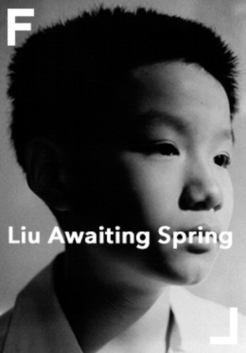 Movie poster for Liu Awaiting Spring (1998)