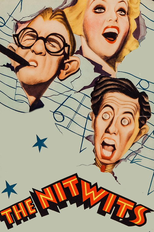 Movie poster for The Nitwits (1935)