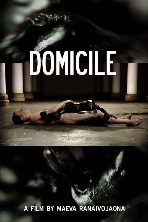 Movie poster for Domicile (2012)