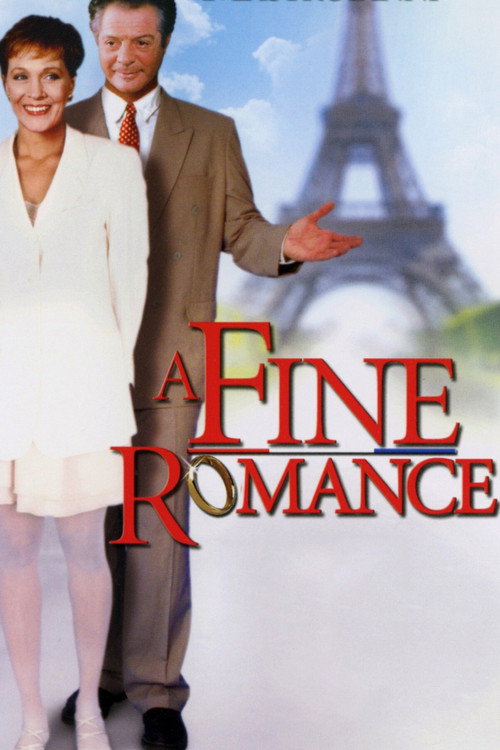 Movie poster for A Fine Romance (1991)