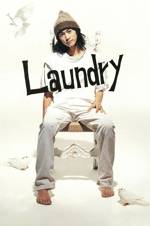 Movie poster for Laundry (2002)