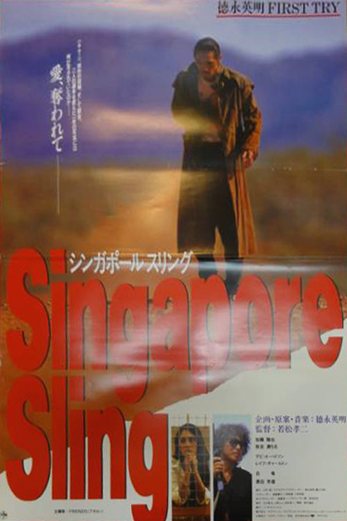 Movie poster for Singapore Sling (1993)