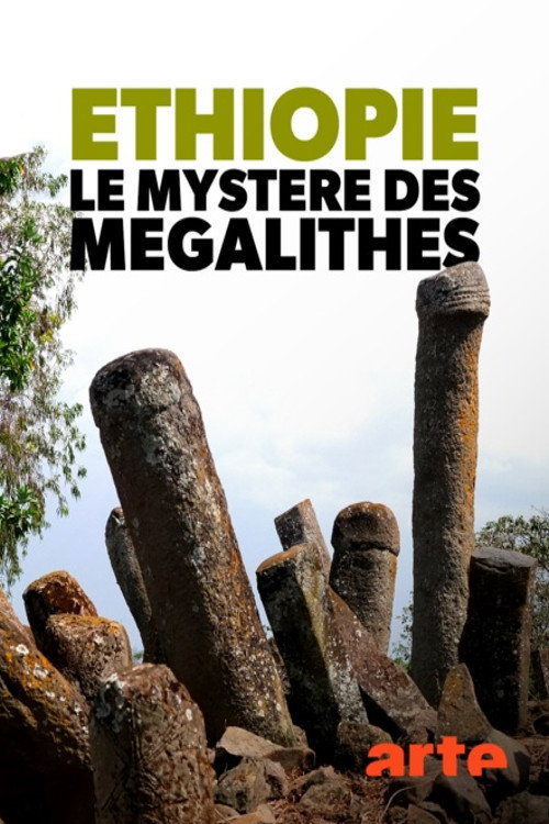 Movie poster for Éthiopie, le mystère des mégalithes (2019)