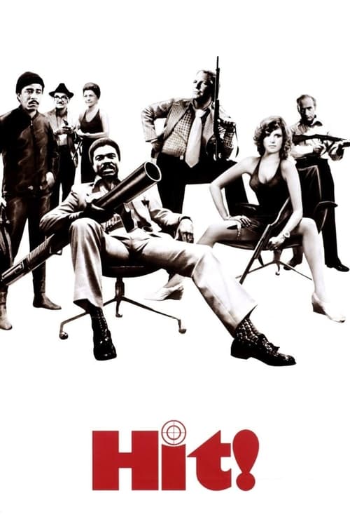 Movie poster for Hit! (1973)