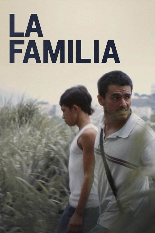 Movie poster for The Family (2017)