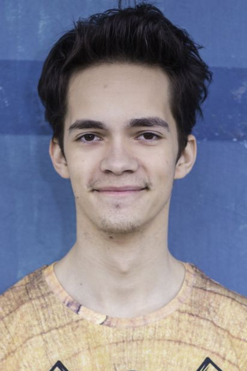 Lukáš Frlajs profile